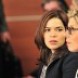 The Good Wife